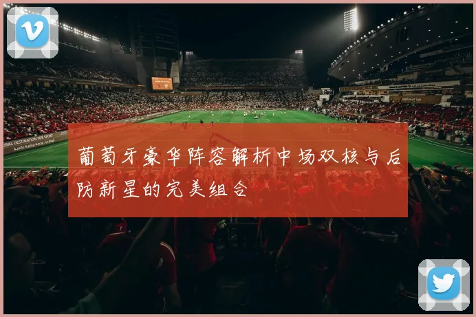 葡萄牙豪华阵容解析中场双核与后防新星的完美组合
